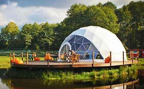Forest Glamping