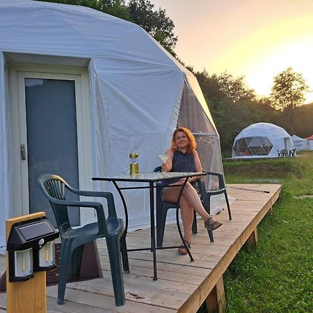 Forest Glamping Brașov Exterior foto