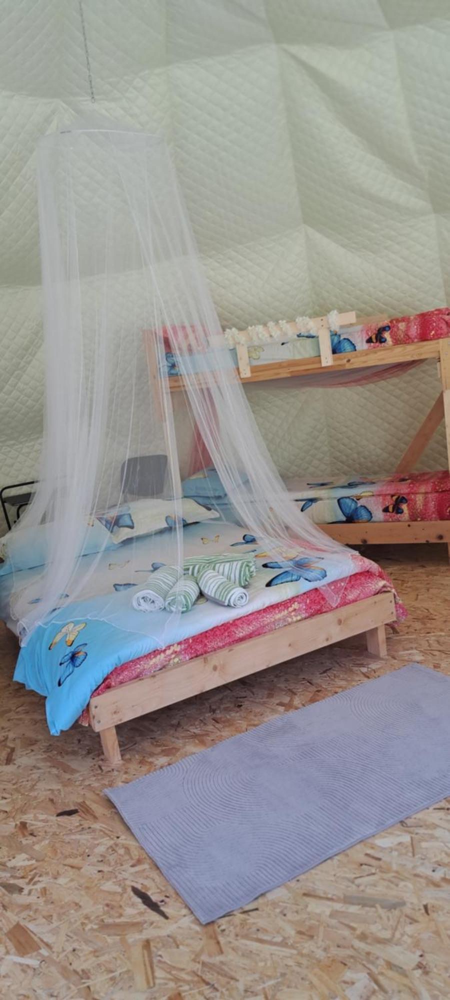 Forest Glamping Brașov Exterior foto