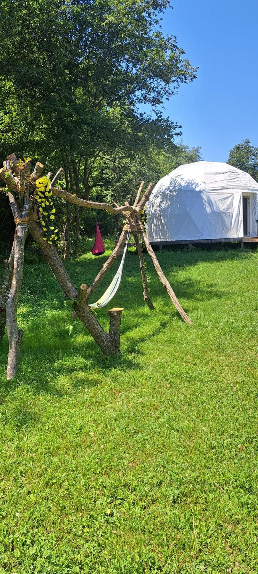 Forest Glamping Brașov Exterior foto
