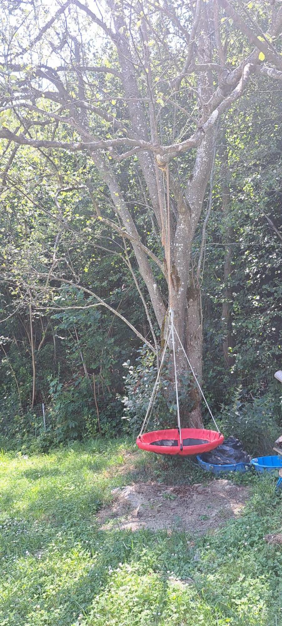 Forest Glamping Brașov Exterior foto