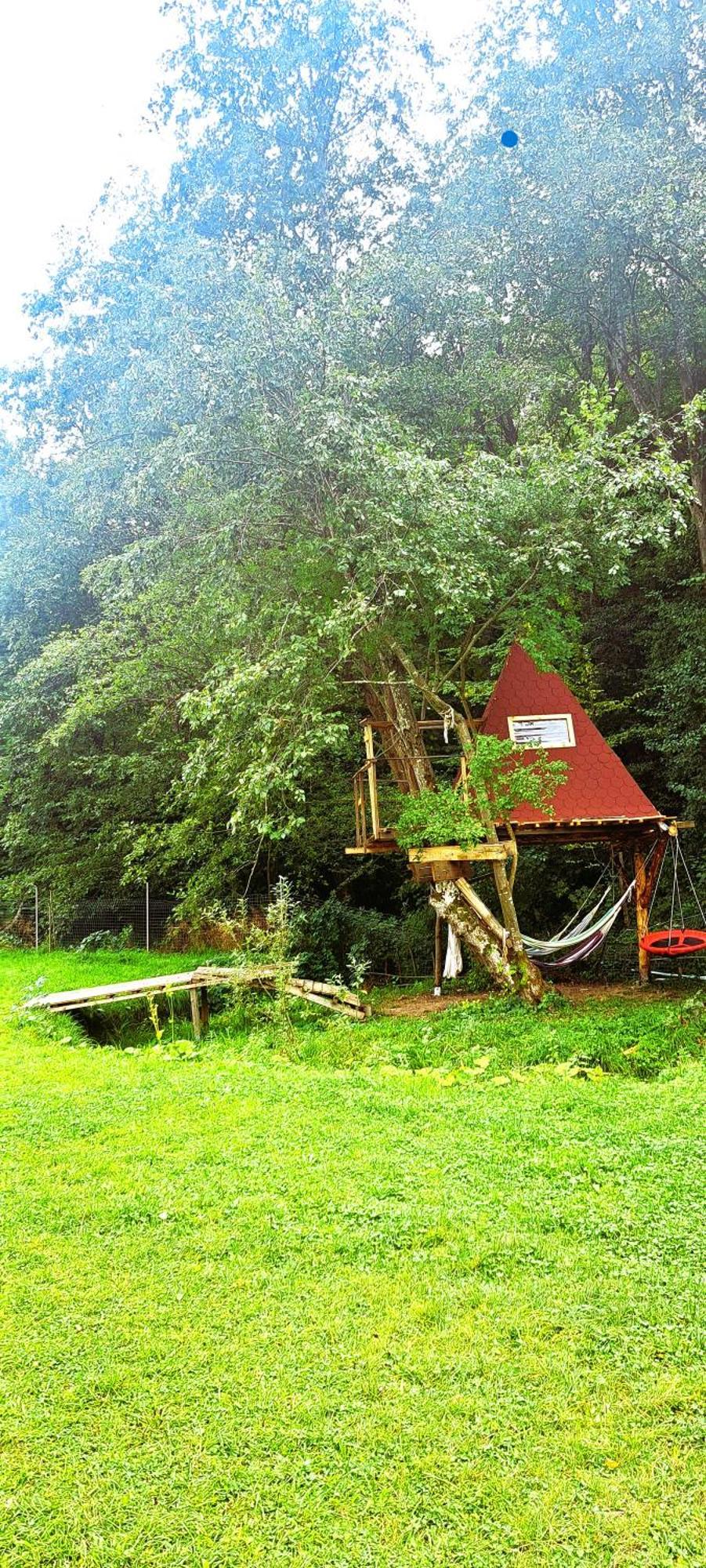 Forest Glamping Brașov Exterior foto