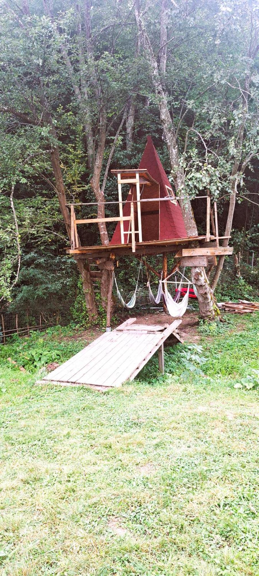 Forest Glamping Brașov Exterior foto
